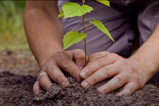 One Step for Climate Change