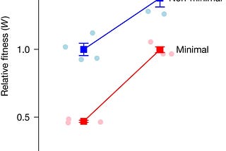 Adaptation and Infinity: Minimal Genome Evolution and Spirituality