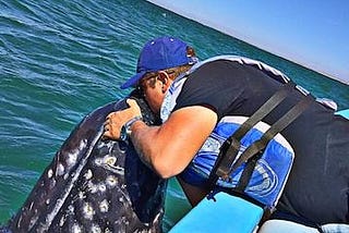How to get lost in Baja and kiss a Baby Whale — Part II