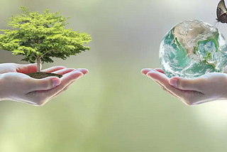 ECO FRIENDLY TIPS