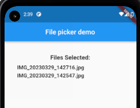 Pick Any File (File Picker) Flutter