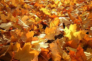 Autumn Day by Rainer Maria Rilke