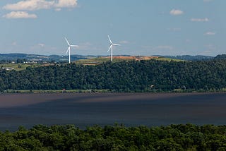 Recent Wind Farm Decision Highlights Difference in State Processes