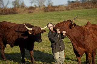 Des cornes d’1m30 d’envergure ne passaient pas dans le couloir d’abattage
