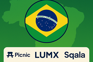 Brazil’s Stablecoin Boom: Why Brazil Leads in 2024–25
