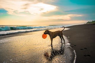 Why I Prefer the Beach in the Evening