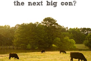‘Regenerative Farming’: the next big con?