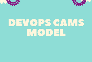 Best practical guide to DevOps CAMS Model
