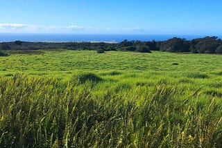 Farming or Flipping? Why Hawai‘i Must Regulate CPRs to Protect Agricultural Lands
