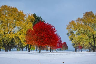 Most People Know Their Personality Type. Few Know Their Weather Type.