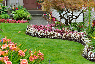How to Design a Low-Maintenance Garden