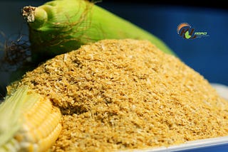 Maize Fiber: Applications & Uses