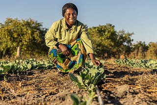 Six Ways Agroecology Can Help Shape the Future of Farming