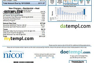 USA Illinois Nicor Gas utility bill, PDF and Word download template