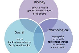 “Biopsychosocial model” By MrAnnoying — Own work, CC BY-SA 4.0, https://commons.wikimedia.org/w/index.php?curid=52520224