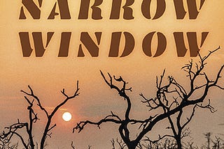 The Narrow Window