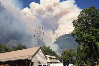 Seattle City Light Successfully Educates Community About Wildfire Mitigation Best Practices