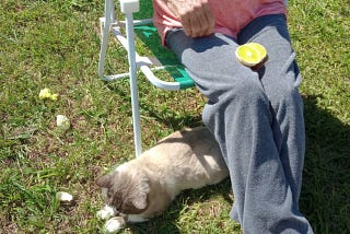 Perene grande saudade