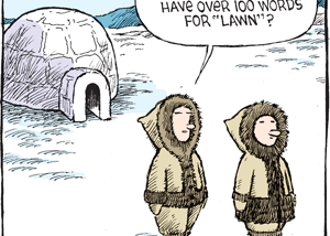 Did you know that suburban white males have over 100 words for lawn?