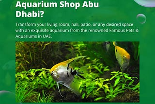 aquarium supplies Abu Dhabi