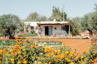 Organic Farm Terra Masia in Ibiza