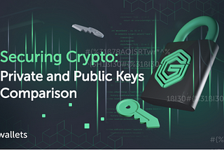 Securing Crypto: Private and Public Keys Comparison