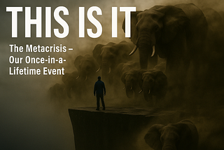This Is It — The Metacrisis — Our Once-in-a-Lifetime Event