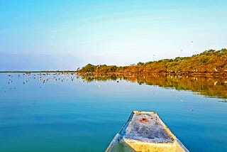 A morning spent chasing flamingos