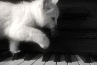 Pain lives in every breath taking ever since.