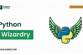 Python Wizardry: Unveiling the Core Skills of Expert Developers