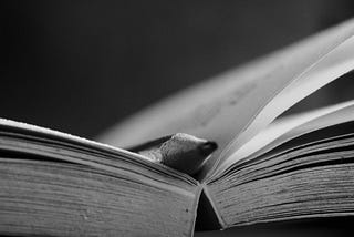black and white photo of an open book with a pencil nestled in the spine