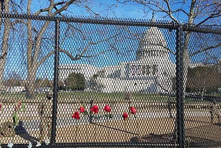 Photo of US Capitol, flag at half staff with National Guard standing watch behind newly-erected fence adorned with red roses