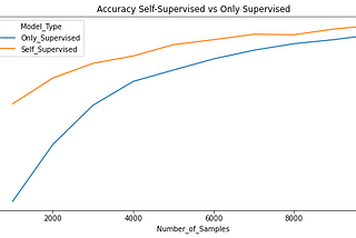 Self-Supervised Learning for Image Classification