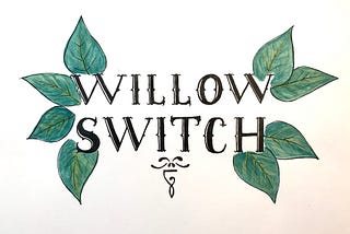 Grass Stain Sessions Ep. 7: Willow Switch