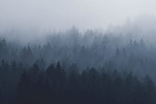 A photo of trees on a hillside, just barely visible through fog.