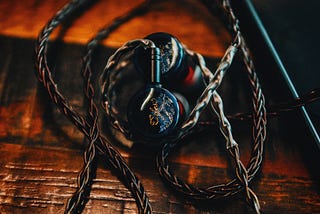 Kinera Celest Pandamon 2.0 In-Ear Monitor Impressions