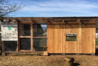 Today I Built a Chicken Coop