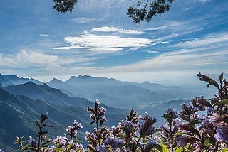 Cochin to Munnar Taxi Fare.