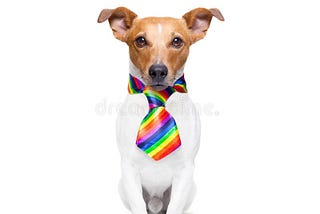 Dog Sitting Gay and Lesbian Community