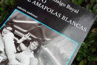 Un campo de amapolas blancas, Gonzalo Hidalgo Bayal