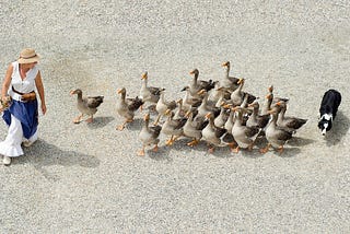 Social Regression