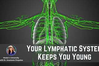 Protecting Your Body from Invasion- How to Keep Your Lymphatic System Healthy