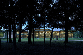 Dallas Local Architecture: Grauwyler Park Branch Library