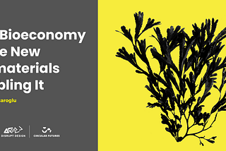 The Bioeconomy and the New Biomaterials Enabling It