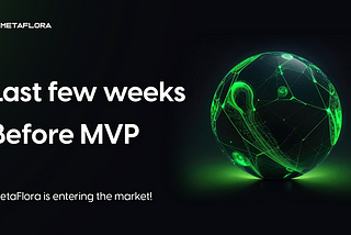 The last few weeks before MPV!