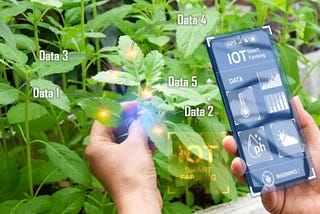 IoT Based Smart Farming