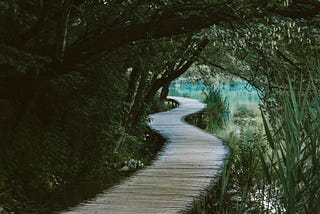 Raised wooden walking path over water with overhanging trees and grass around