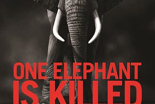Stopping the Wildlife Trade is also about saving people: An open letter to all Vermonters