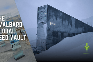 Cryopreservation at Svalbard: The Hidden Hero of Global Food Stability