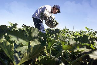 Impact of Agricultural Subsidies
